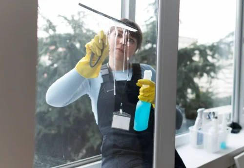 Nettoyage de vitres intérieures et extérieures à Pierrefitte-sur-Loire